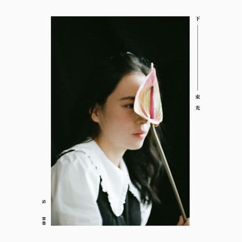 Album cover art for 下一束光