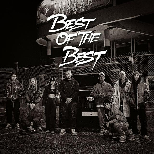 Album cover art for B.O.T.B. (Best of the Best)