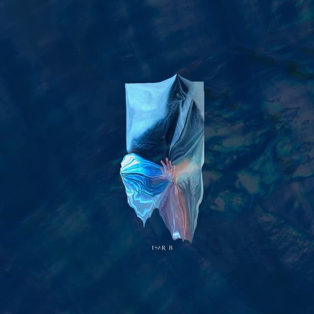 Album cover art for Tsar B