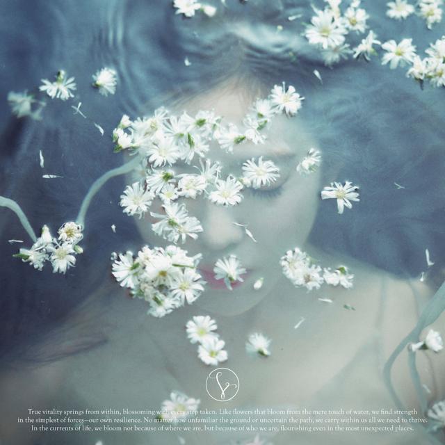 Album cover art for Like A Flower