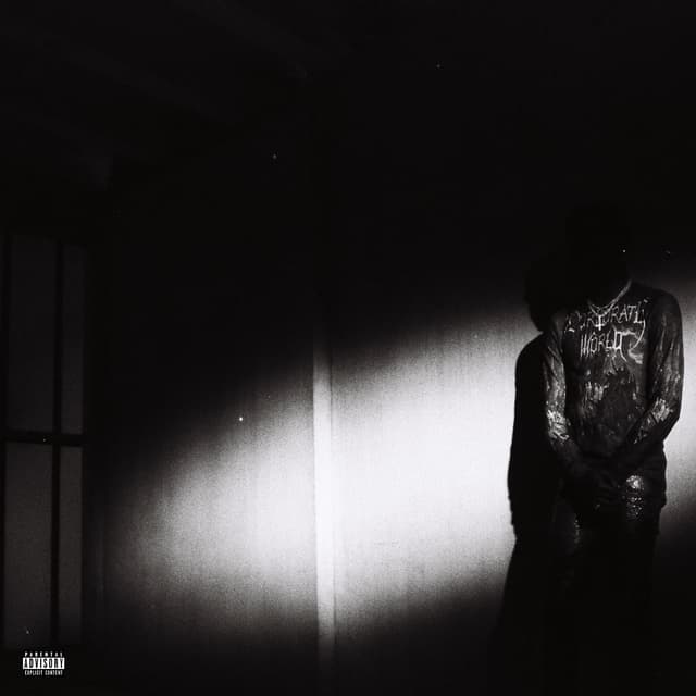 Album cover art for No Stylist