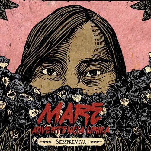 Album cover art for Siempre viva