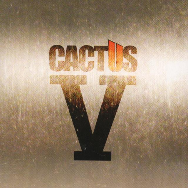 Album cover art for V