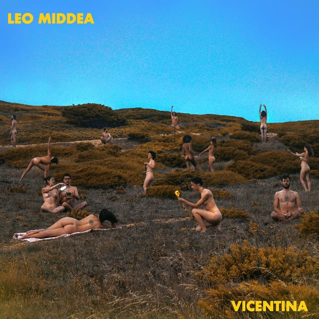 Album cover art for Vicentina