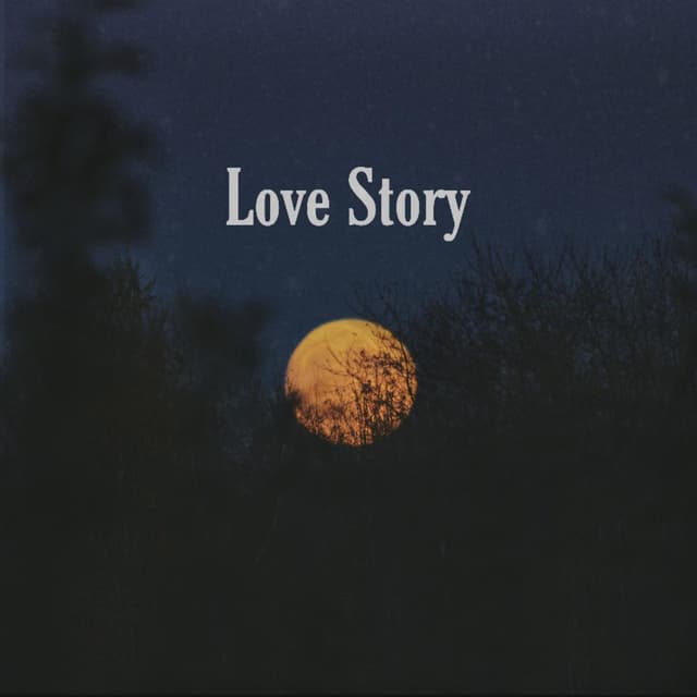 Album cover art for Love Story