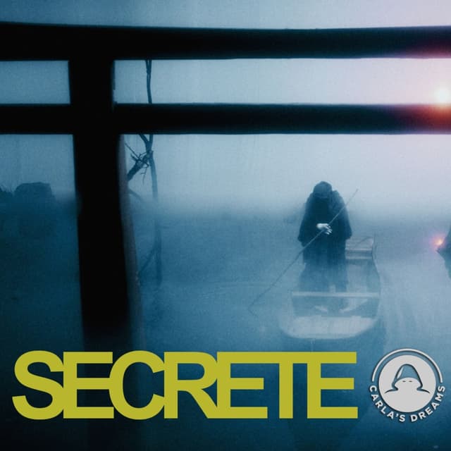 Album cover art for Secrete