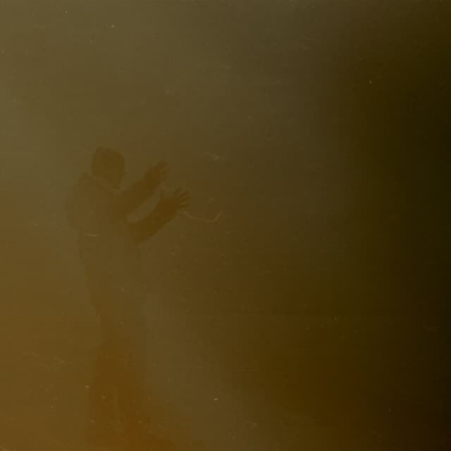 Album cover art for Juno