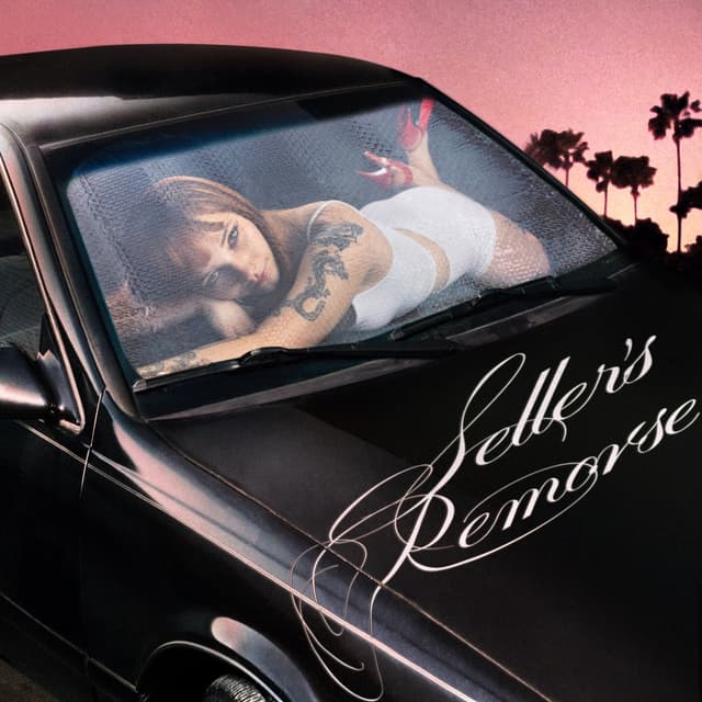 Album cover art for Seller's Remorse