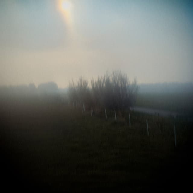 Album cover art for As It Was