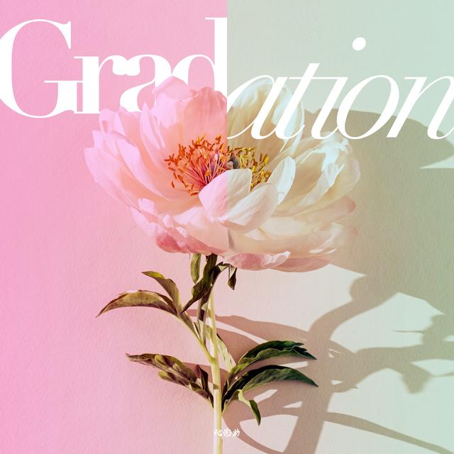 Album cover art for Gradation