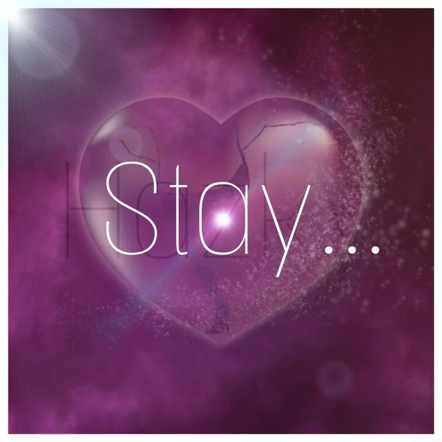 Album cover art for Stay...