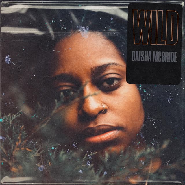 Album cover art for Wild