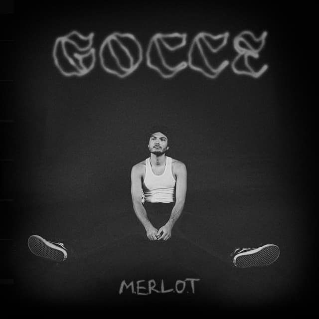 Album cover art for Gocce