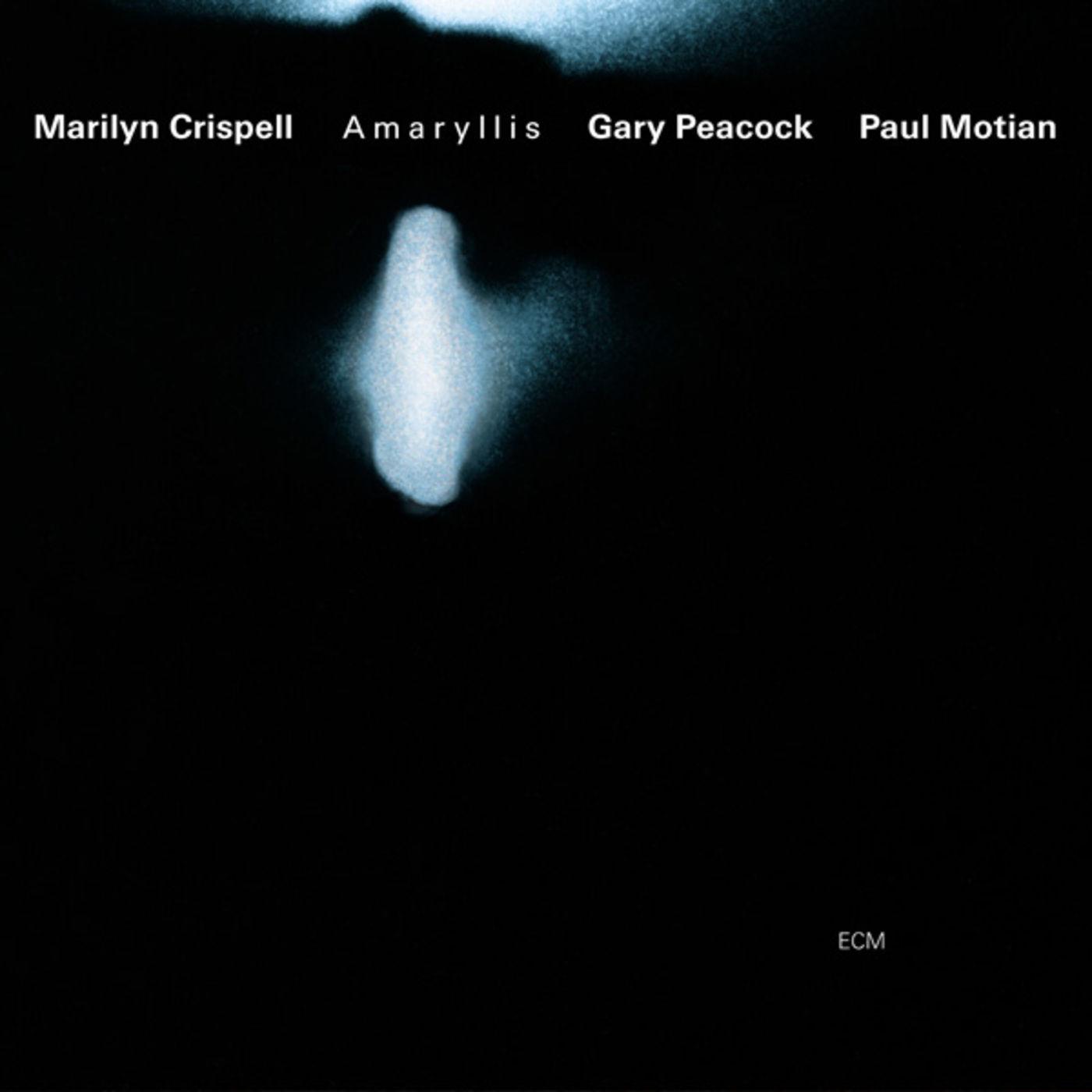 Amaryllis
