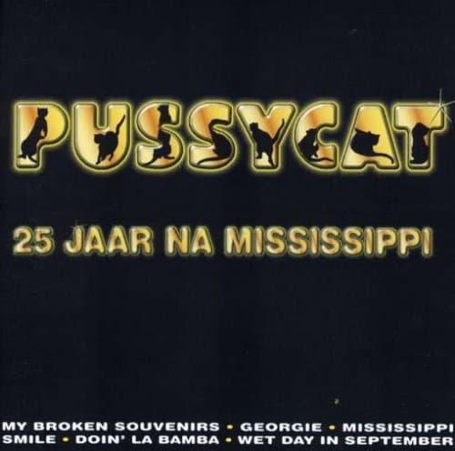 Album cover art for 25 Jaar Na Mississippi