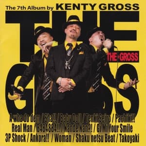 Album cover art for THE GROSS