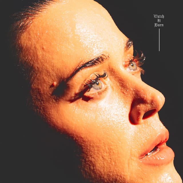 Album cover art for Watch It Burn