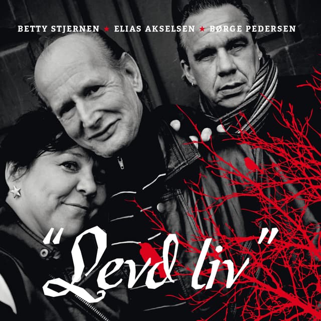 Album cover art for Levd liv