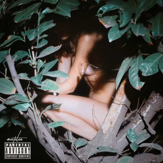 Album cover art for Meztelen