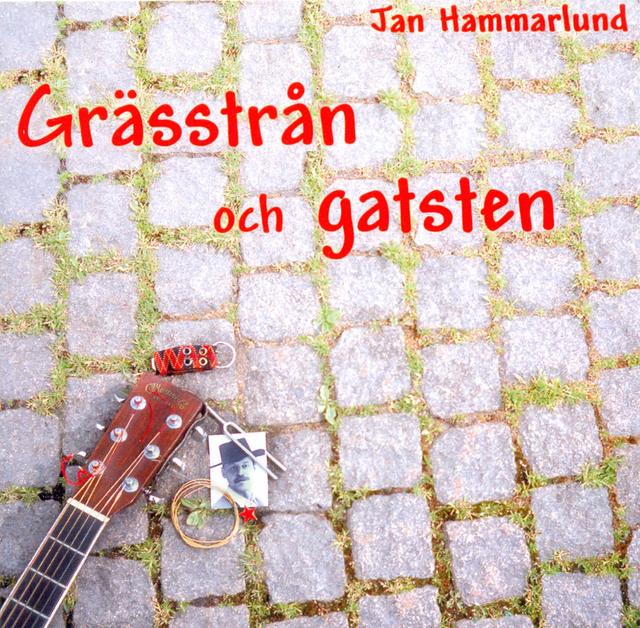 Album cover art for Grässtrån och gatsten