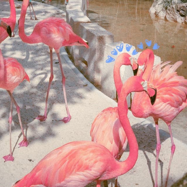Album cover art for DAIKIRI CON FRESA