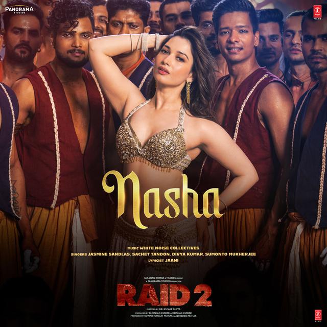 Album cover art for Nasha (From "Raid 2")