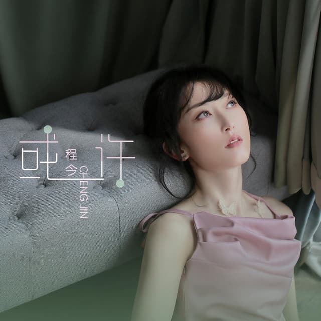 Album cover art for 或许