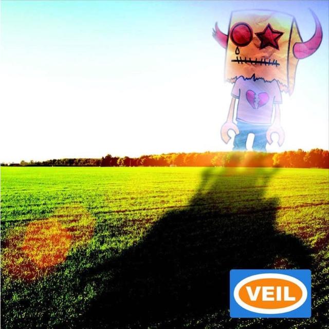 Album cover art for VEIL