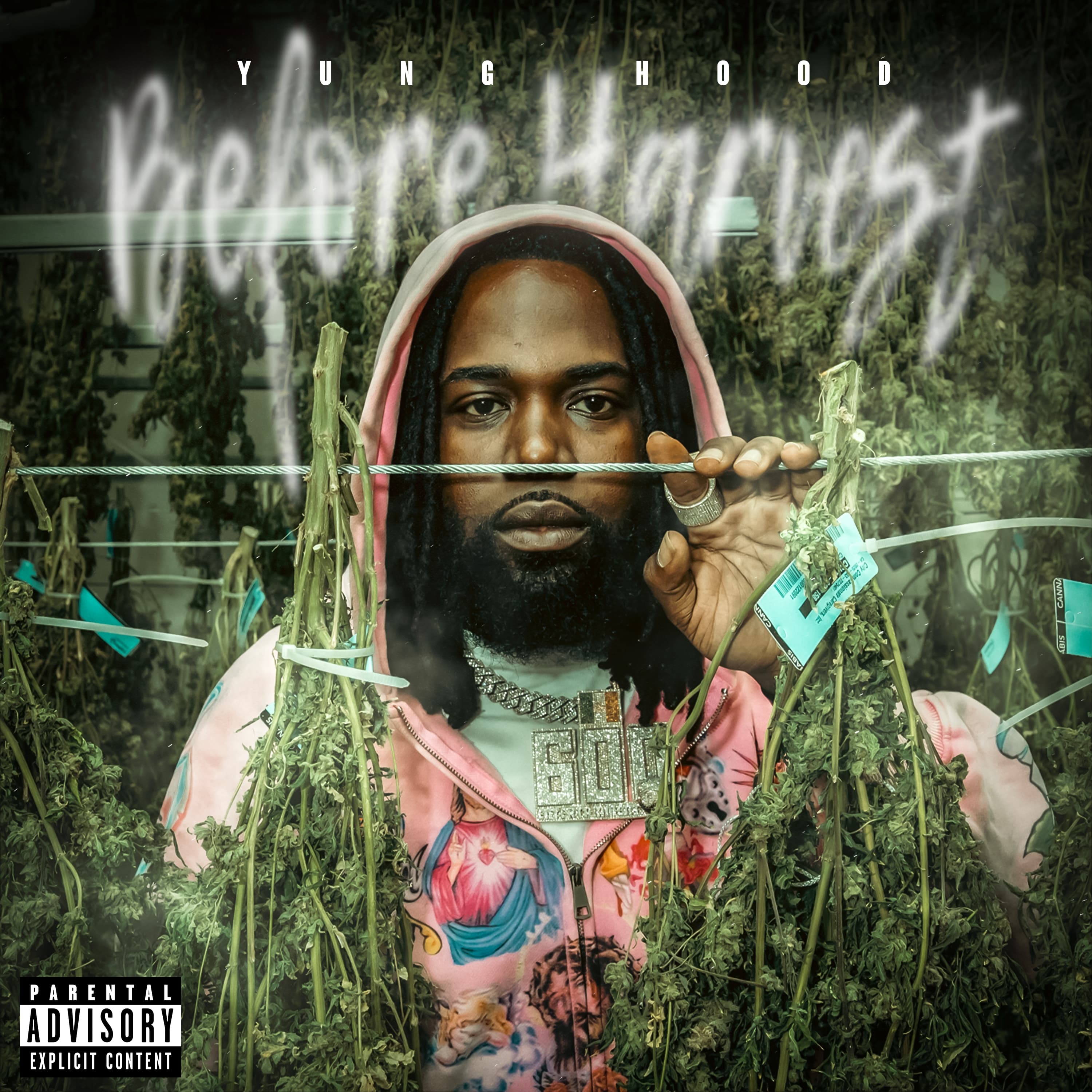 Lyric cover art