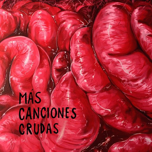 Album cover art for Más canciones crudas