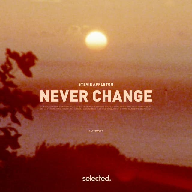 Album cover art for Never Change