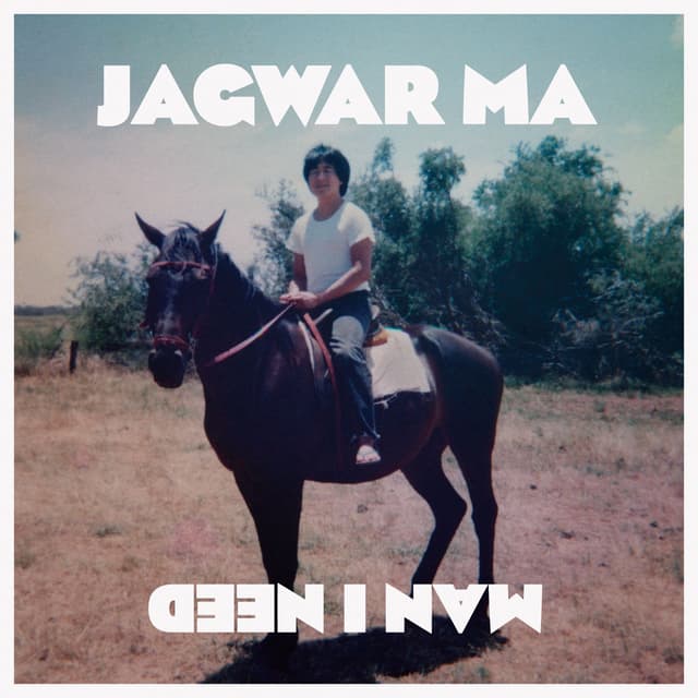 Album cover art for Man I Need