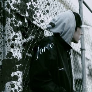 Album cover art for FORTE