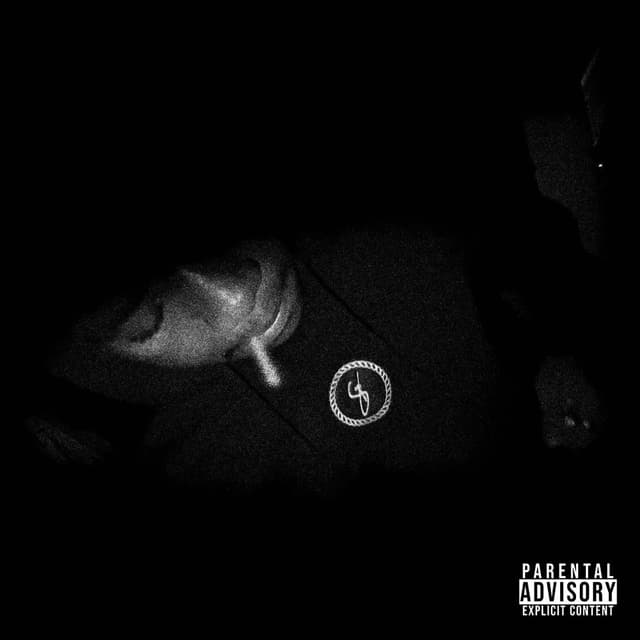 Album cover art for ca$h s€x drug$ 2