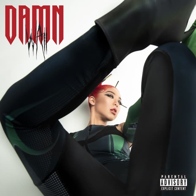 Album cover art for DAMN
