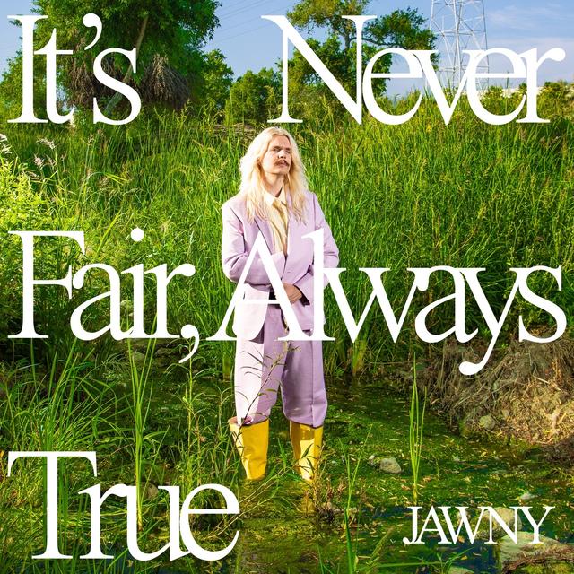 Album cover art for It's Never Fair, Always True