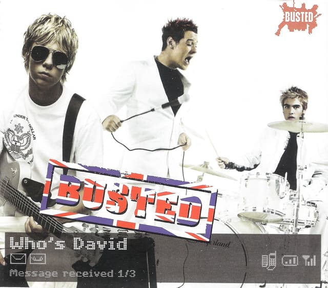 Album cover art for Who's David