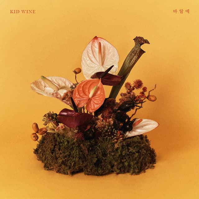 Album cover art for Because