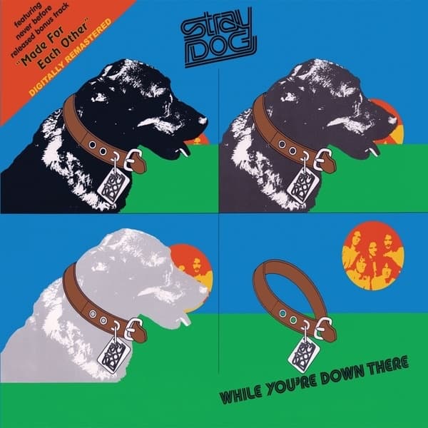 Album cover art for While You’re Down There