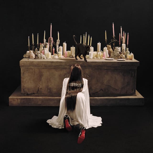 Album cover art for des fleurs x stromae