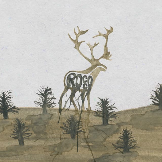 Album cover art for Rocco