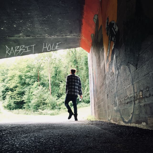 Album cover art for Rabbit Hole
