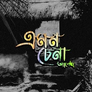 Album cover art for Amon Chena