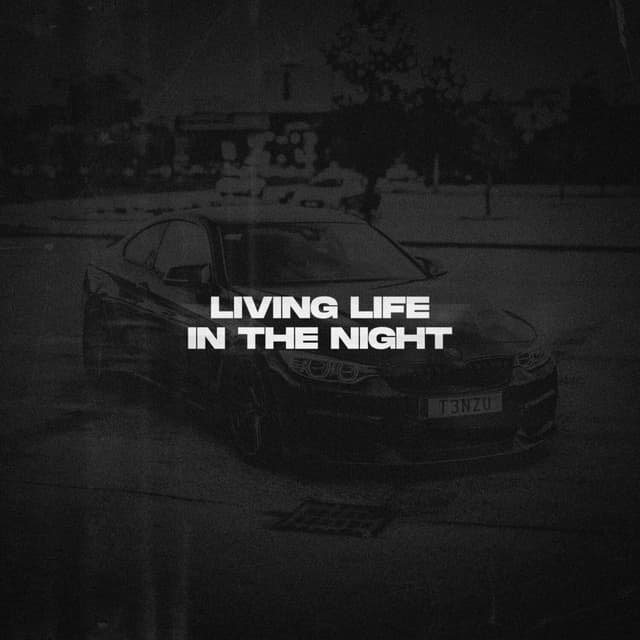 Album cover art for Living Life, In The Night