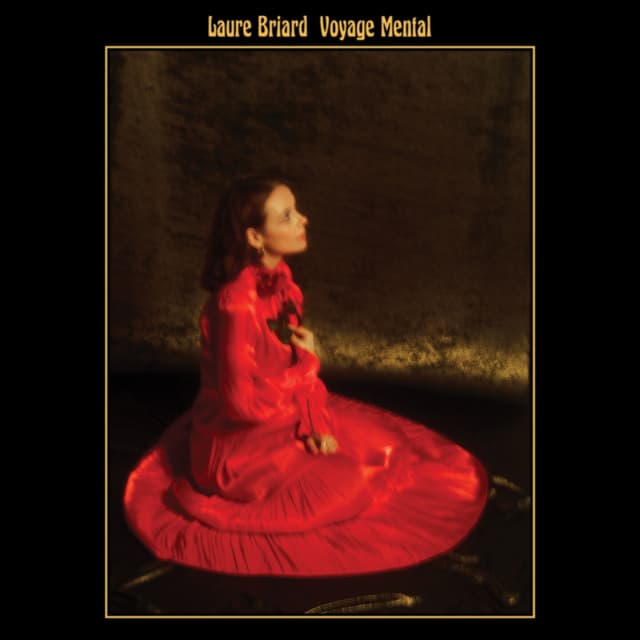 Album cover art for Voyage Mental