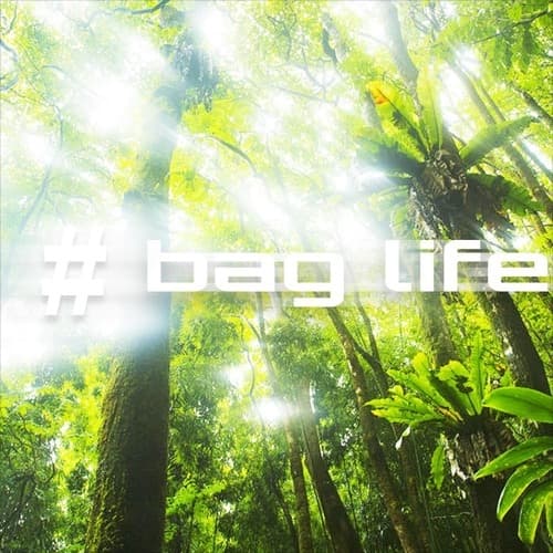 Album cover art for BAGLIFE 3