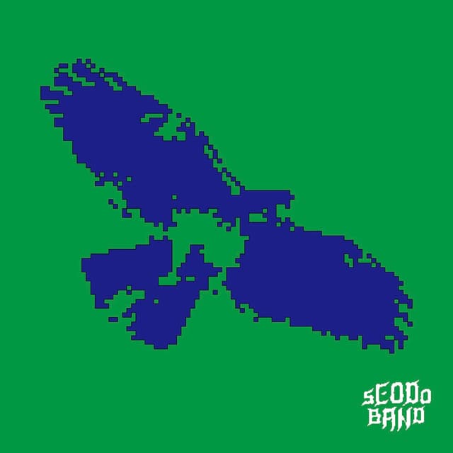 Album cover art for Feathered rhythms