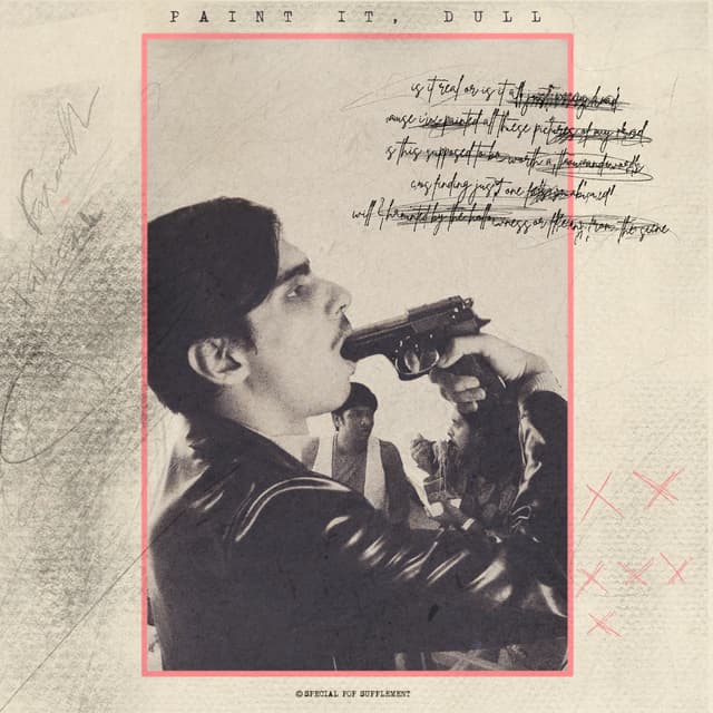 Album cover art for Paint It, Dull