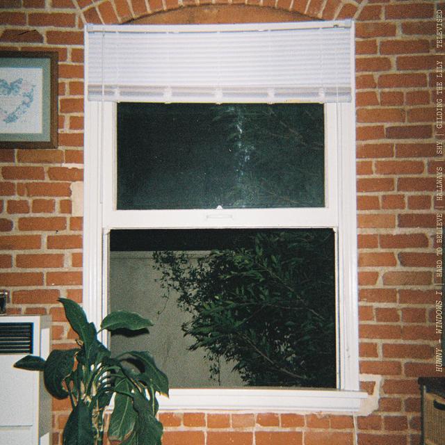 Album cover art for Windows I