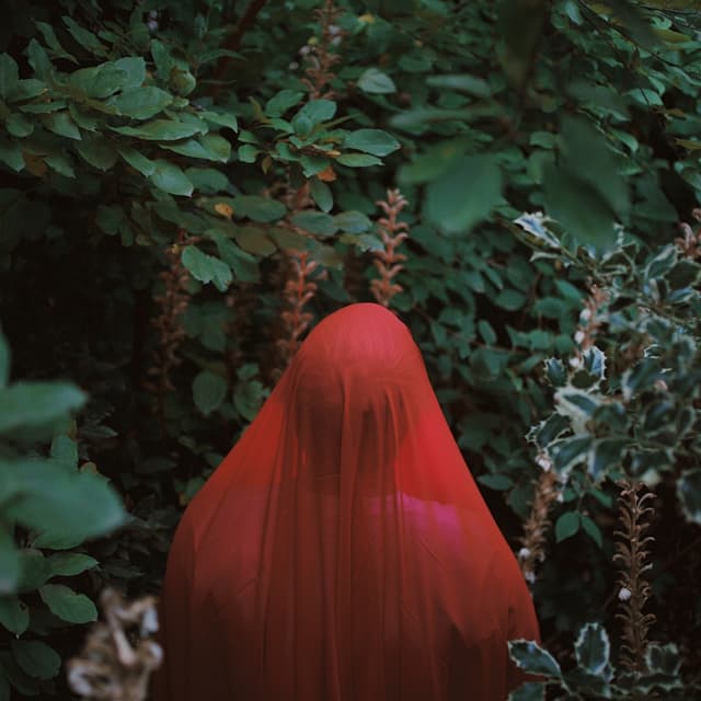 Album cover art for For Nobody, Nowhere